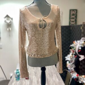 Elegant Sequin Blouse in Blush : New w/tags